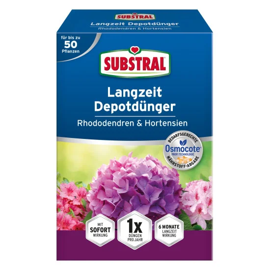epuletgepeszet.bezzeghkft20261022123637291990