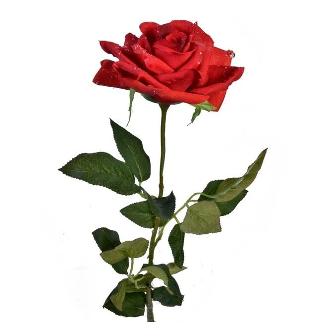 jumbowebshop20261020191336131426