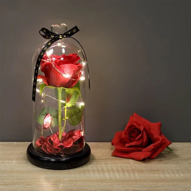 jumbowebshop20261020191354131514