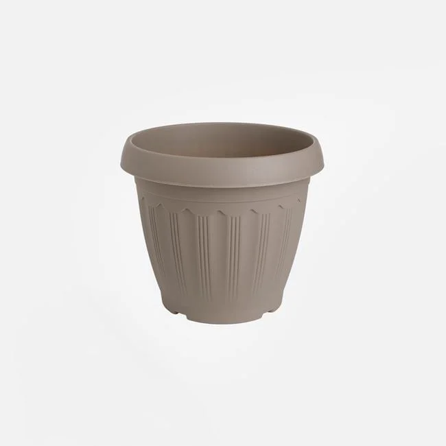 jumbowebshop20261020202444147205