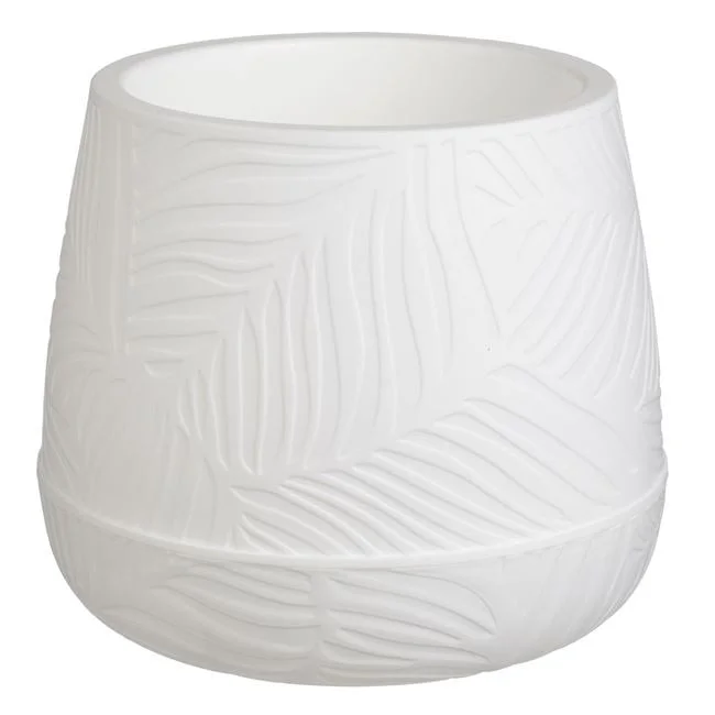 jumbowebshop20261020202517147343