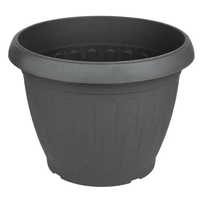 jumbowebshop20261020204204150911