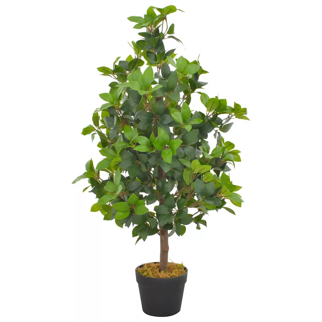 kissvilag-120261022182636364442