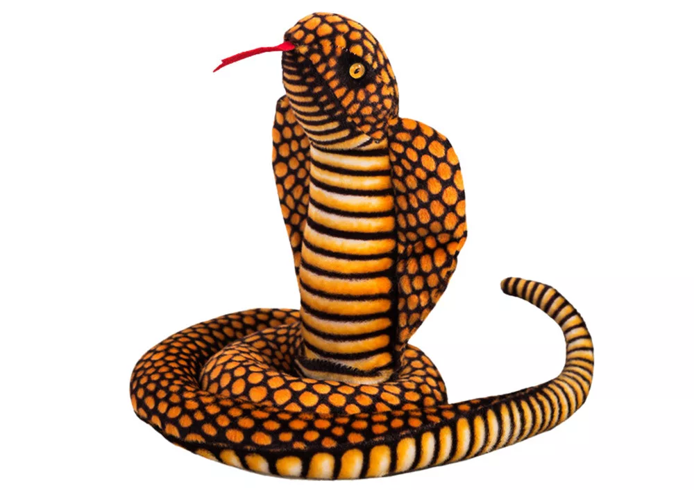 kissvilag-120261023082200536391