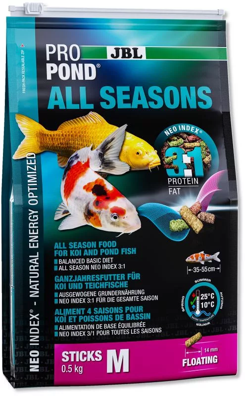 koi-kert20261020183101120446