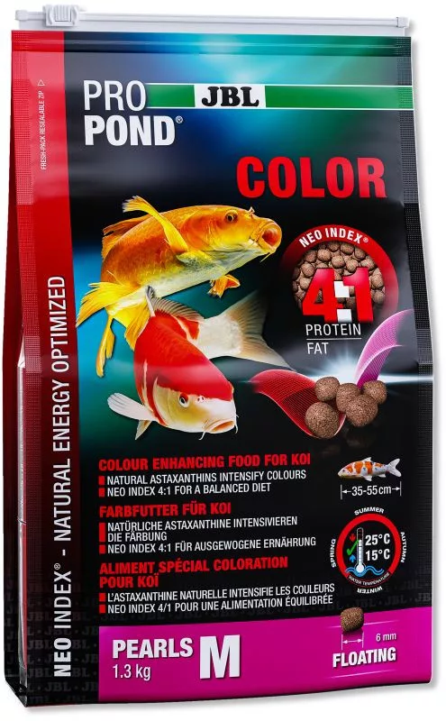 koi-kert20261020183112120486