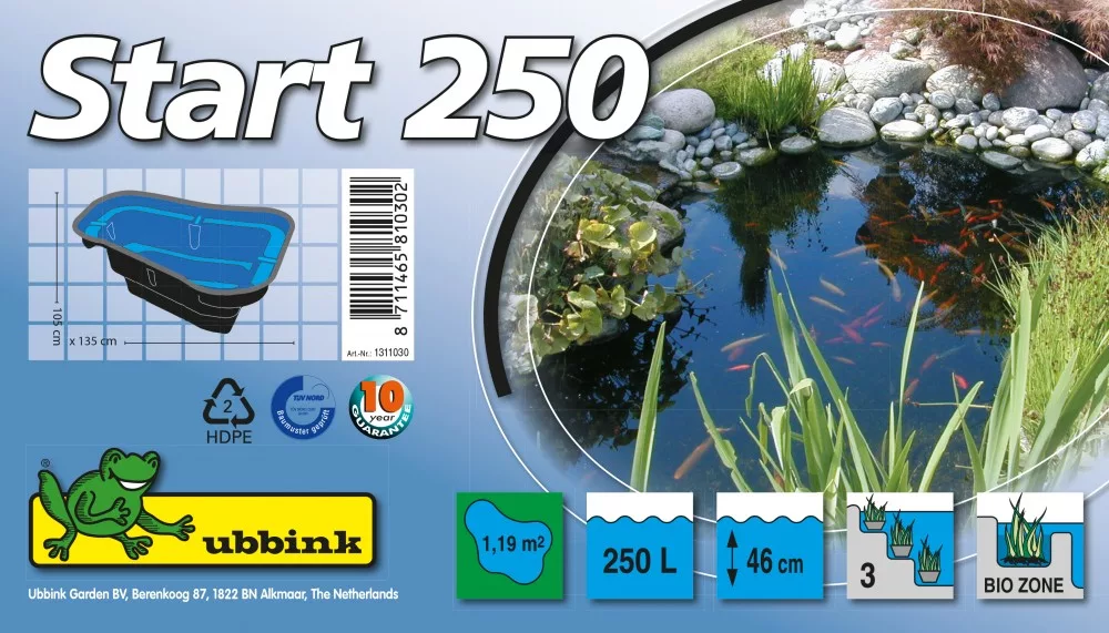 koi-kert20261020194726139144