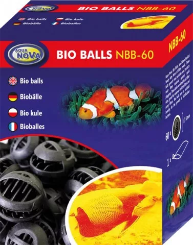 koi-kert20261020202401147030