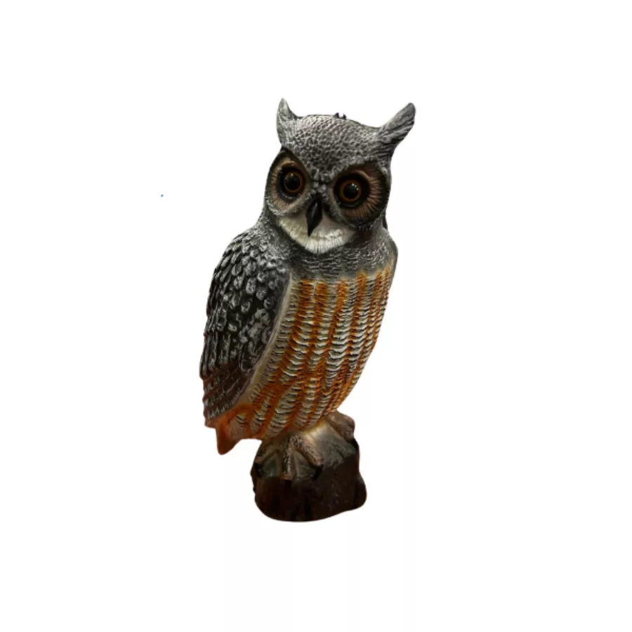 koi-kert20261020213658161467