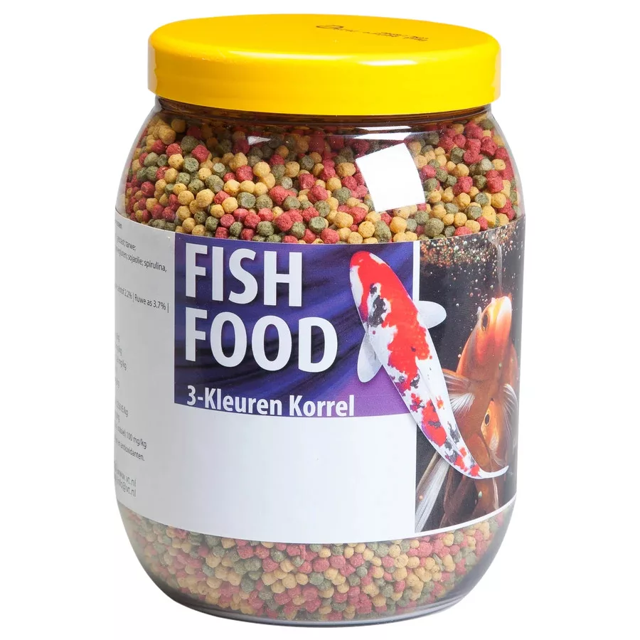 koi-kert20261020233356172281